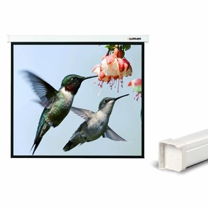 Экран для дома, настенно потолочный с электроприводом Lumien LMC-101108 Master Control 221х203