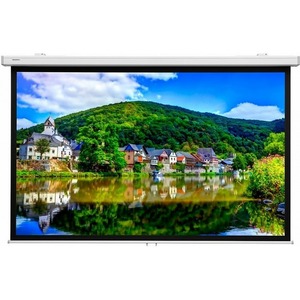 Экран для проектора Lumien LMP-100103CSR Master Picture CSR 165x213