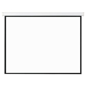Экран для проектора Lumien LMP-100117CSR Master Picture CSR 216x208