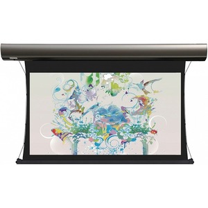 Экран для дома, настенно потолочный с электроприводом Lumien Cinema Tensioned Control 155x235 LCTC-100108