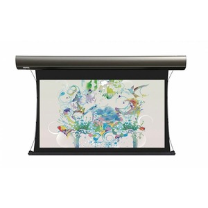 Экран для дома, настенно потолочный с электроприводом Lumien Cinema Tensioned Control 155x235 LCTC-100108