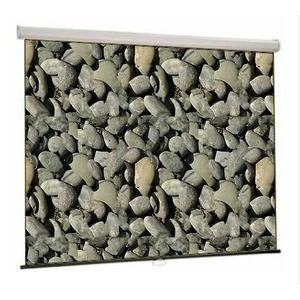 Экран для проектора Lumien Master Recessed Control 280х453см LMRC-100110