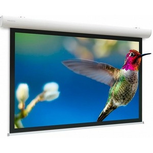 Экран для дома, настенно потолочный с электроприводом Projecta 10102106 Elpro Concept 173x300
