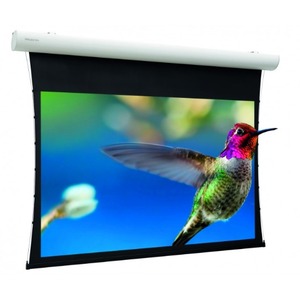 Экран для дома, настенно потолочный с электроприводом Projecta 10102106 Elpro Concept 173x300