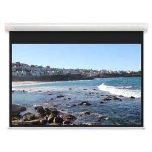 Экран для дома, настенно потолочный с электроприводом Projecta 10102106 Elpro Concept 173x300