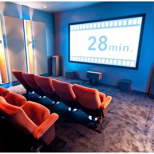 Экран для проектора Projecta 10600442 HomeScreen Deluxe 141x216