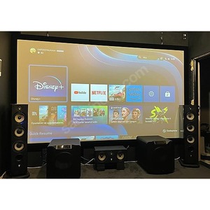 Экран для проектора Projecta 10600506 HomeScreen Deluxe 141x216