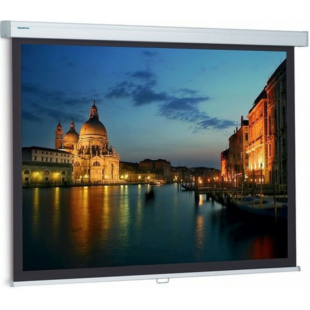 Экран для проектора Projecta 10200005 ProScreen 213x280