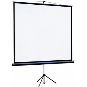 Экран для проектора Lumien Eco View 128x171 LEV-100110