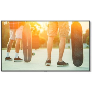 Дисплей профессиональны NEC MultiSync V984Q