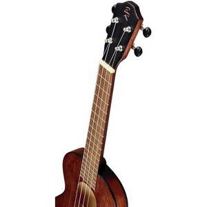 Укулеле тенор BATON ROUGE UR101-TT