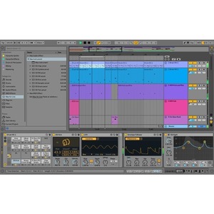 Программное обеспечение для студии Ableton Live 10 Suite UPG from Live Intro E-License