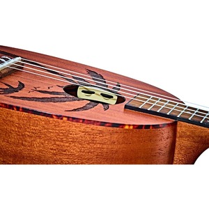 Укулеле концерт Ortega RUPA5MM-E