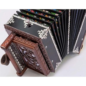 Гармонь Саратовская гармоника SG10-AbK