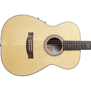 Электроакустическая гитара Maton CUSTOM-SHOP-TE-PERSONAL