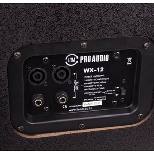 Пассивная AC Leem WX-12P