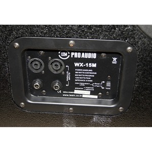 Монитор сценический пассивный Leem WX-15MP