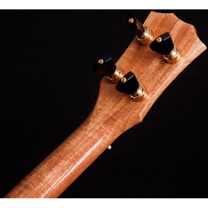 Укулеле концерт THE REBEL Cheesecake C