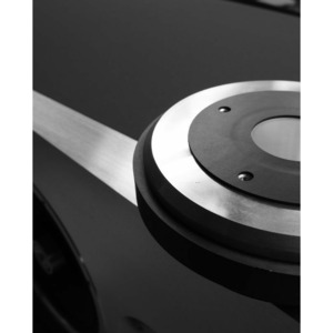 Напольная акустика Zu Audio Dominance