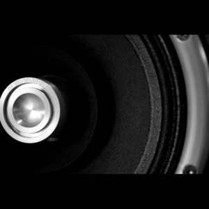 Напольная акустика Zu Audio Definition mkIV