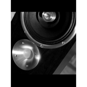 Напольная акустика Zu Audio Druid Black