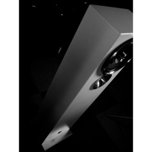 Напольная акустика Zu Audio Druid Black