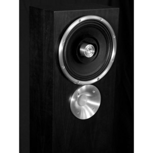 Напольная акустика Zu Audio Druid Black