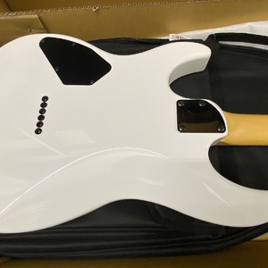 Электрогитара FGN Boundary Odyssey BOS2GHH SWH