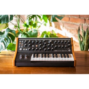 Синтезатор аналогового моделирования Moog Subsequent 25