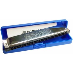 Губная гармошка Hohner Big Valley 2550/48 D M255003