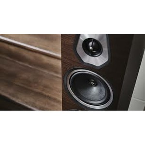 Напольная акустика Sonus Faber Sonetto VIII Wenge