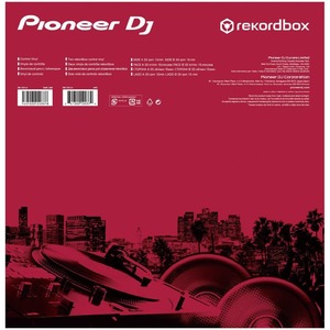 Пара пластинок с тайм-кодами Control Vinyl Pioneer RB-VD1-CR