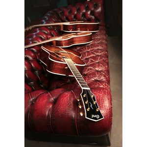 Электроакустическая гитара Cort Gold-A8 NAT с кейсом