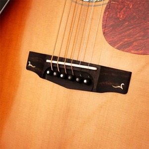 Акустическая гитара Cort Gold-D8 LB с кейсом