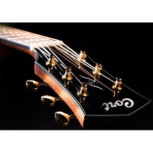 Акустическая гитара Cort Gold-O6 NAT с кейсом