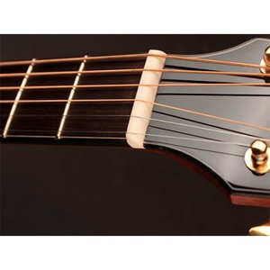 Акустическая гитара Cort Gold-P6 NAT с кейсом