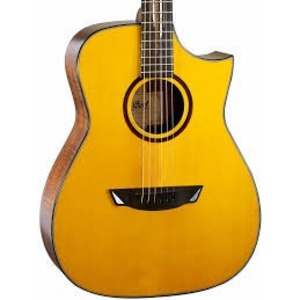 Электроакустическая гитара Cort LUXE W CASE NAT