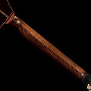 Акустическая гитара Cort Roselyn LE