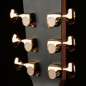 Акустическая гитара Cort Roselyn LE