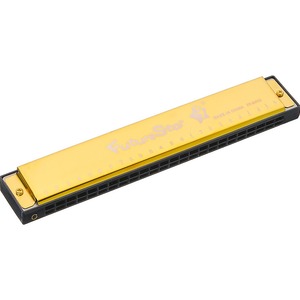 Губная гармошка Future Star FF-2419 GD