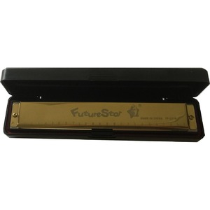 Губная гармошка Future Star FF-2419 GD