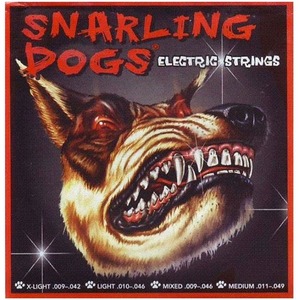 Струны для электрогитары DAndrea SDN-10EB