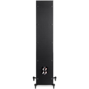 Напольная акустика T+A S 2000 CTL Rubbed lacquer black 12