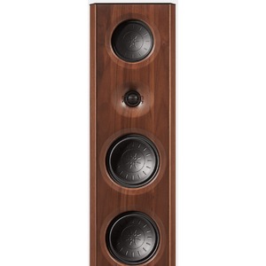 Напольная акустика T+A S 2000 CTL Rubbed lacquer black 12