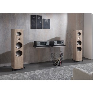 Напольная акустика T+A S 2000 CTL Rubbed lacquer black 12