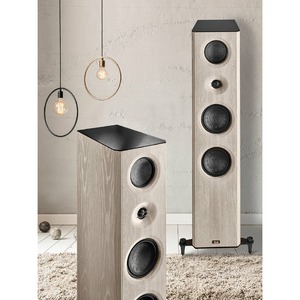 Напольная акустика T+A S 2000 CTL Rubbed lacquer black 12