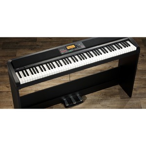 Пианино цифровое KORG XE20SP