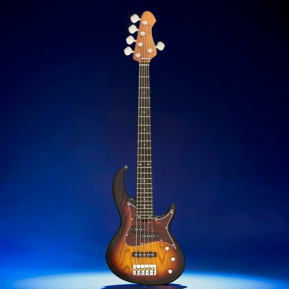 Бас-гитара ARIA 313-MK2/5 OPSB