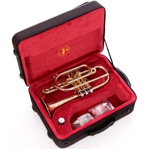 Корнет John Packer JP271SW