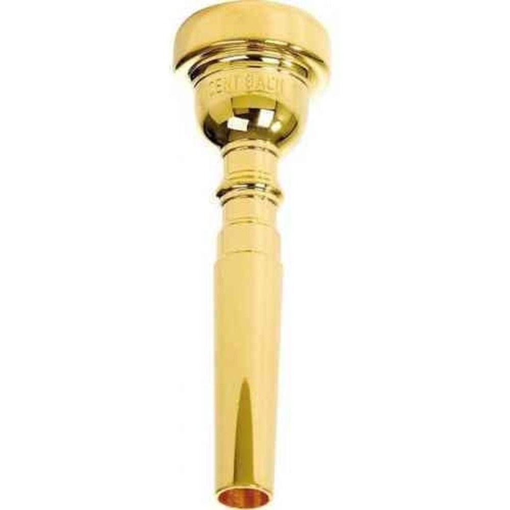 Мундштук для трубы Bach 3517DWGP